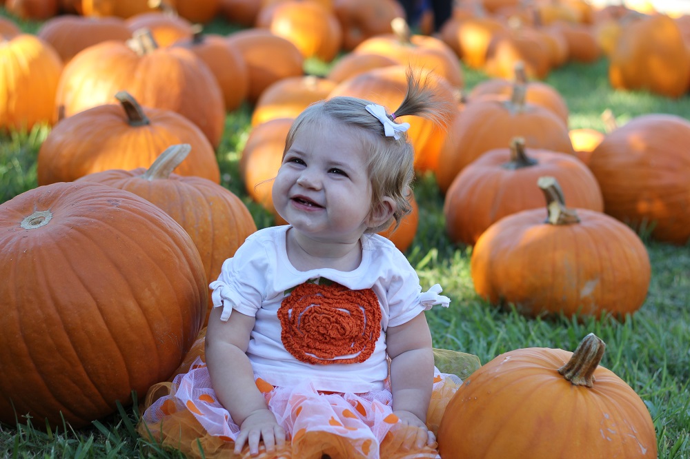 St Andrews Pearland Pumpkin Patch